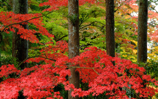 587117 (a): :1920x1200